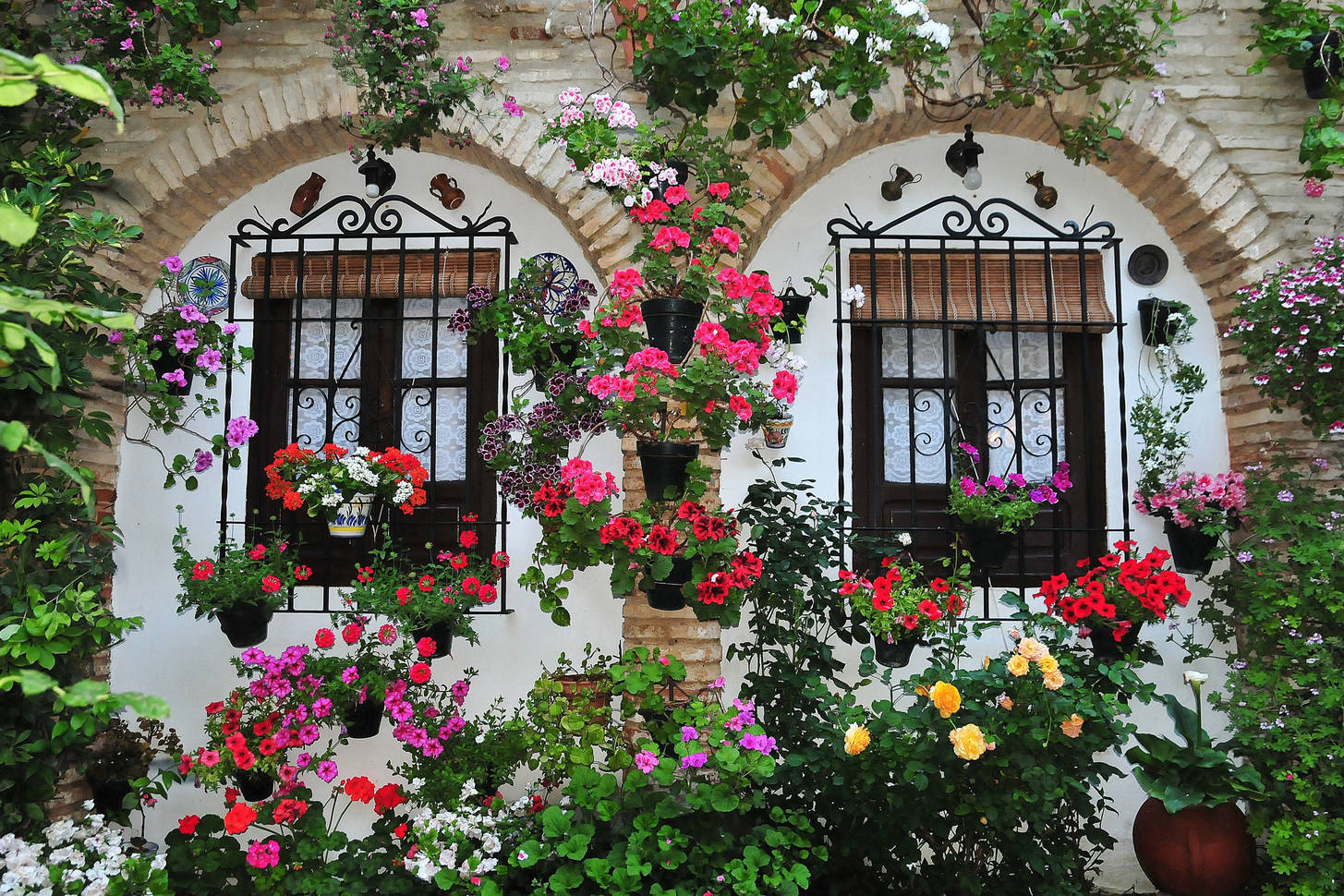 Фотообои цветочный фасад