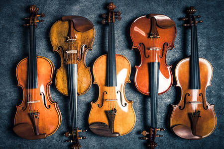Violini su sfondo scuro