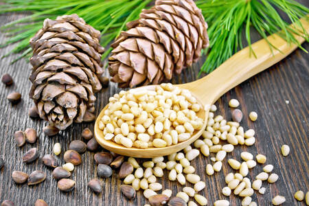 Cones and pine nuts