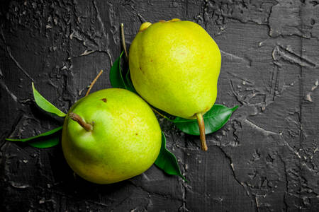 Pears on a gray background