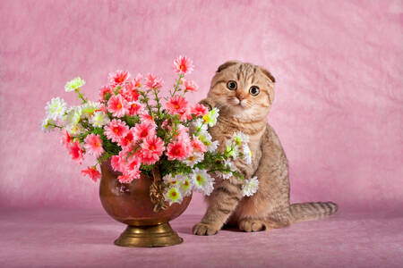Gatito con flores