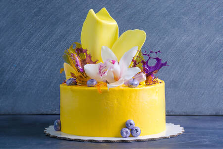 Žlutý tvarohový koláč