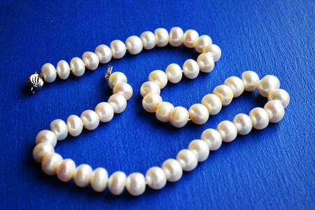 Pearl necklace on blue background