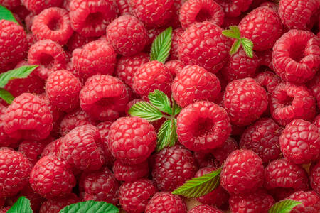 Raspberry with leaves