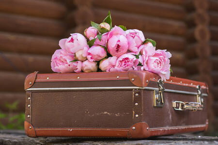 Peonies on an old suitcase