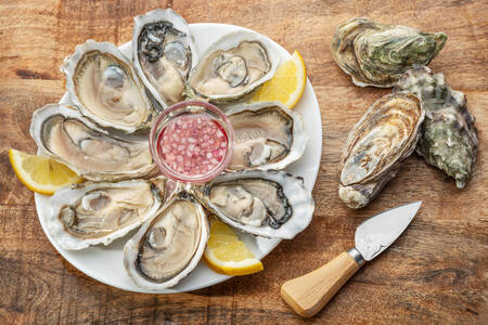 Oysters with sauce and lemon