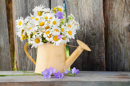 A bouquet of daisies in a watering can