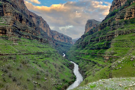 Stream in the canyon