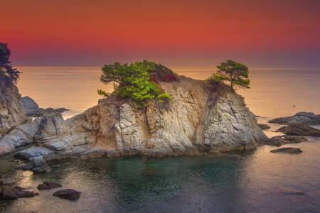 The sea at dawn