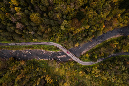 Ένας ελικοειδής δασικός δρόμος
