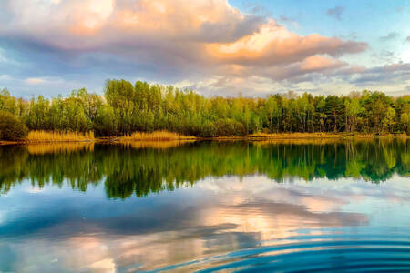 Green shore around the lake