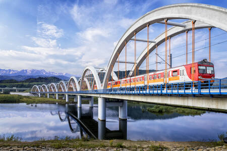 Tren sobre un puente de arco