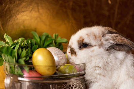 Easter bunny with Easter eggs