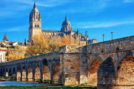 Uitzicht op de Romeinse brug en de nieuwe kathedraal in Salamanca