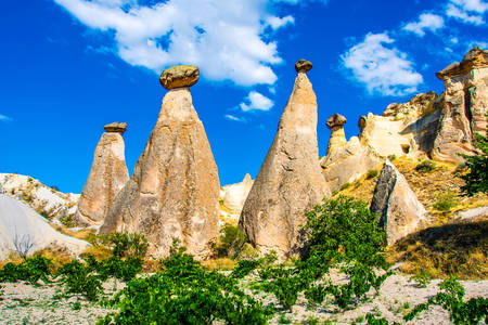 Pasha Baglari Valley
