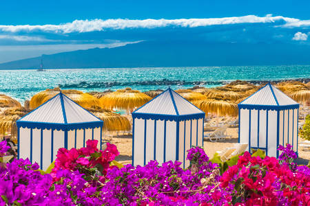 Plage de Playa del Duque