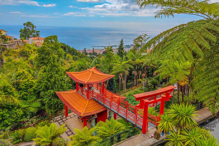 Funchal'daki Monte Sarayı'nın tropikal bahçesi