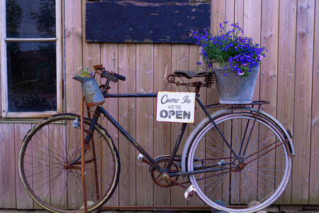 Bicicleta velha com flores