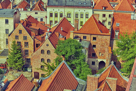 Clădiri vechi din orașul Torun