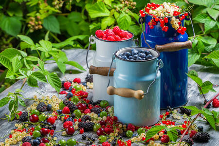 Three buckets with berries
