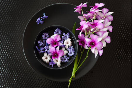 Orchideeën en hyacinten