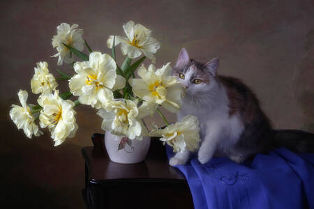 Bouquet of tulips and a cat