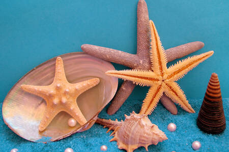 Shells, pearls and starfish