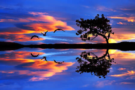 Pájaros sobre el lago