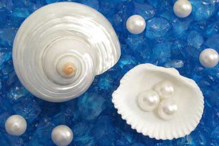Pearls and shells