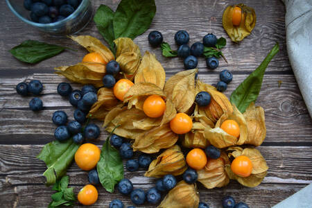 Blueberries and physalis