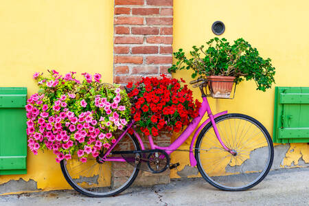 Vélo avec fleurs d'été