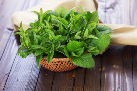 Lemon balm and mint leaves in a bowl