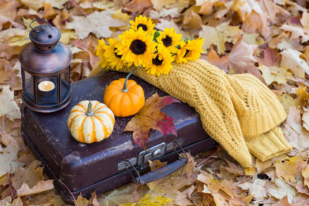 Pumpkins on a suitcase