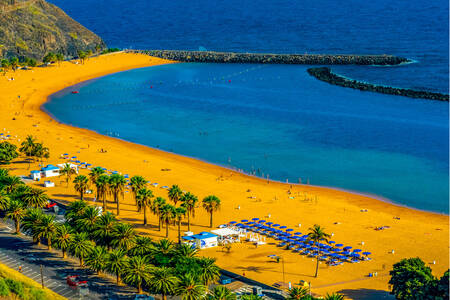 Beach and sea