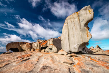 Coastal cliffs