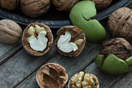 Walnuts on the table