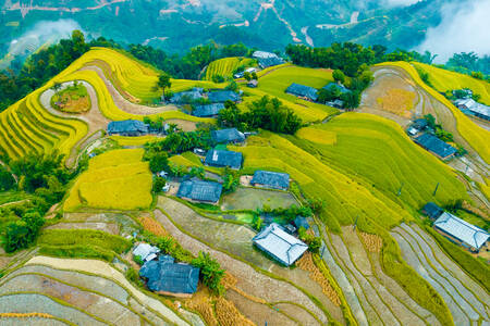 Terraços de arroz nas montanhas