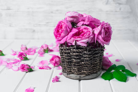 Roses thé
