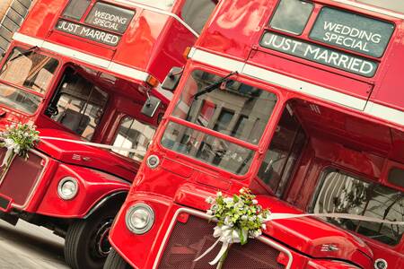 Autobuses de dos pisos con el cartel «Recién casados» en Londres