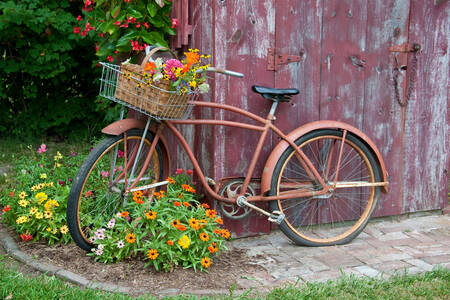 An old bicycle near the barn