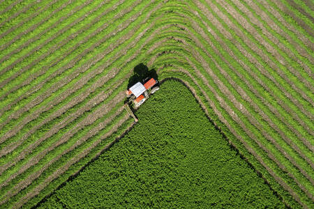 Top view of a field and a tractor