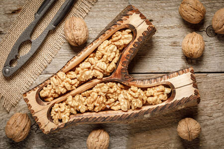 장식용 접시 위의 호두