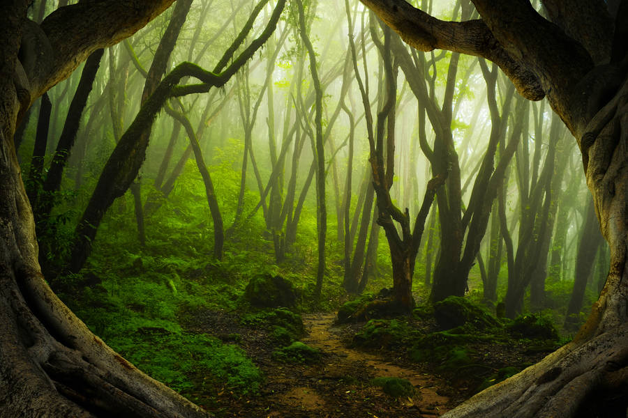 Radio Mix Listen Live 90.5 MHz FM, Sarajevo, Bosnia and Herzegovina Online Radio Box