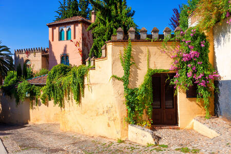 Architecture of old houses in Granada
