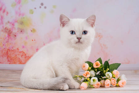 Gatito blanco con flores.