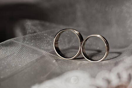 Wedding rings on a veil
