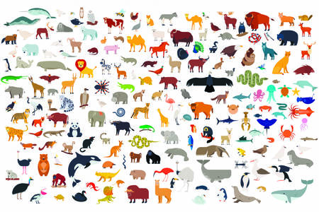 Μεγάλη συλλογή ζώων
