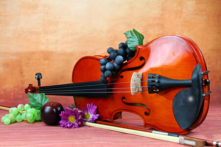 Violin, grapes and flowers