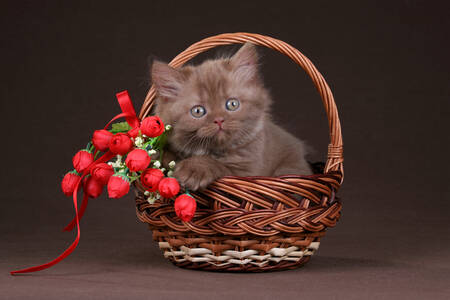 Котенок в корзине с цветами