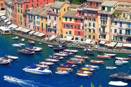 Łodzie w Portofino, Włochy